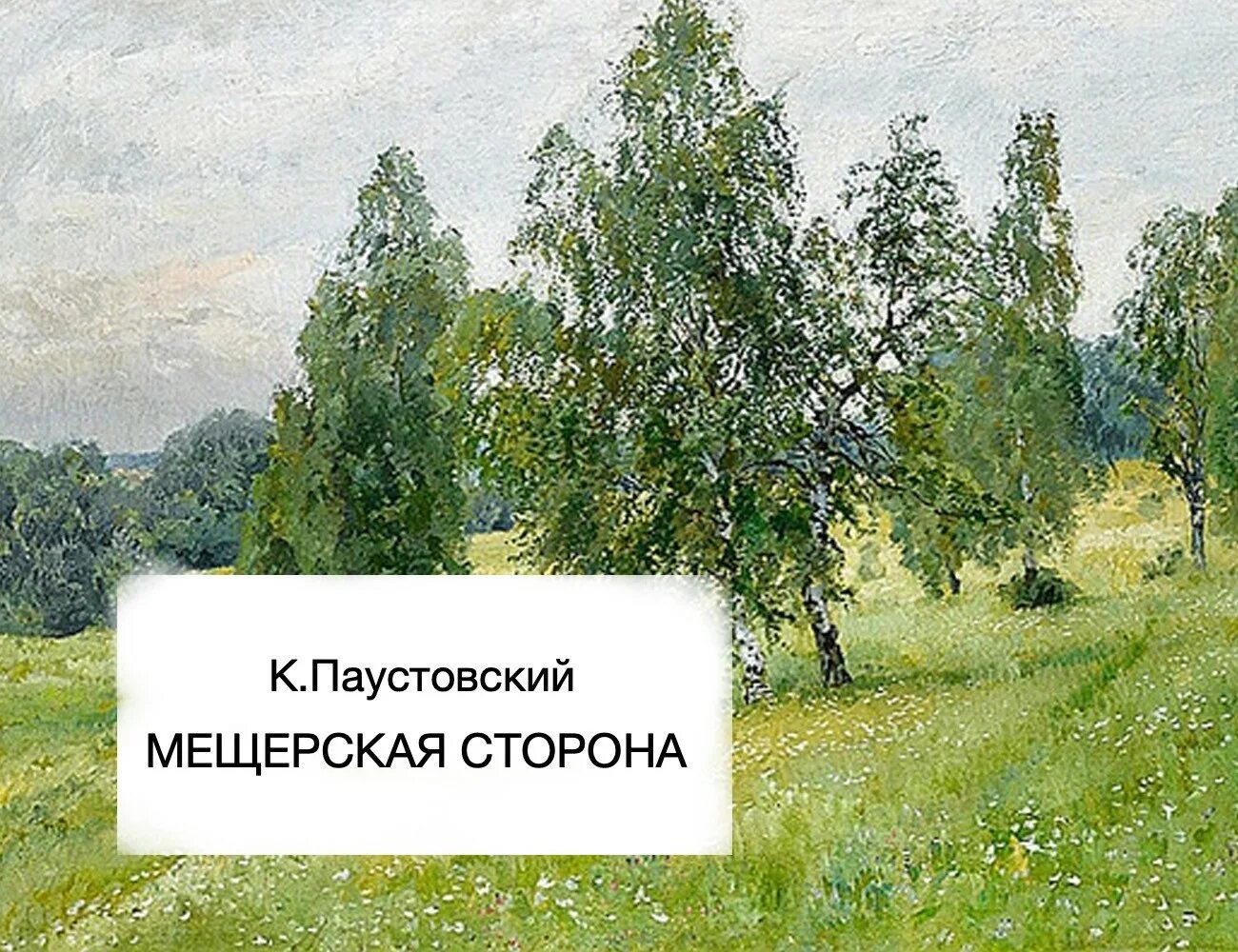 Мещерские леса. Паустовский мещерская сторона рисунок. Паустовский к. Константин паустовский мещерская сторона. Отрывок паустовский мещерская сторона.