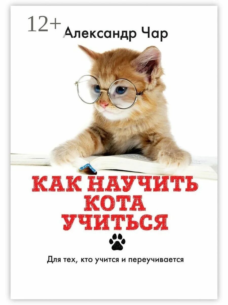 Как научить учиться книга. Кот учится. как научить кота. книга как учиться учиться.