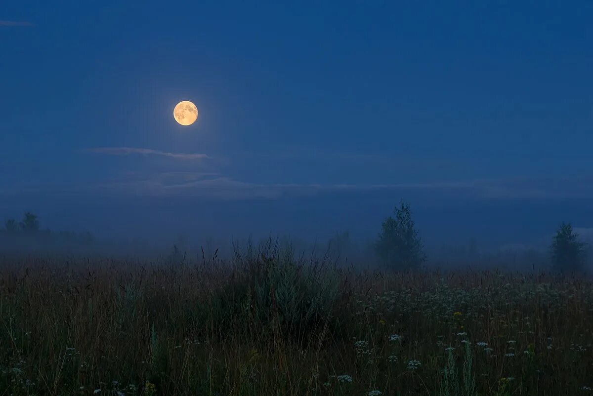 Поле ночью. Летняя ночь. Луна над лугом. Вечернее небо с луной. Звук летней ночи