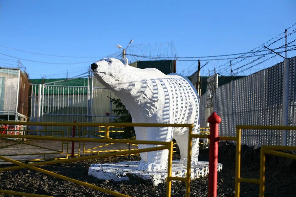 Харп тюрьма Полярная Сова. ИК 8 белый медведь Лабытнанги. ИК-18 Полярная Сова. Посёлок Харп Полярная Сова.