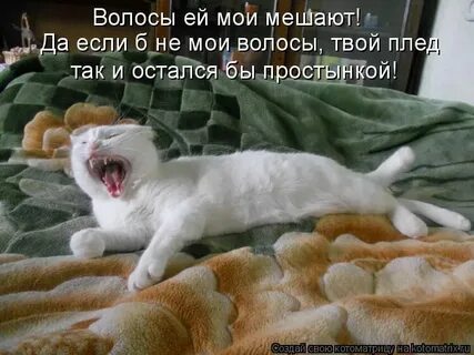 Работа мешает спать