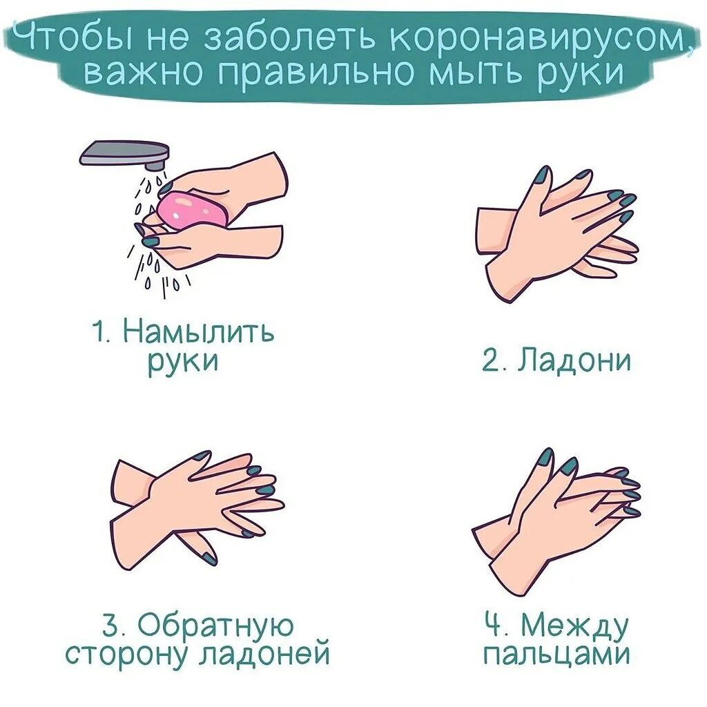 Как правильно мыть руки разговоры о важном