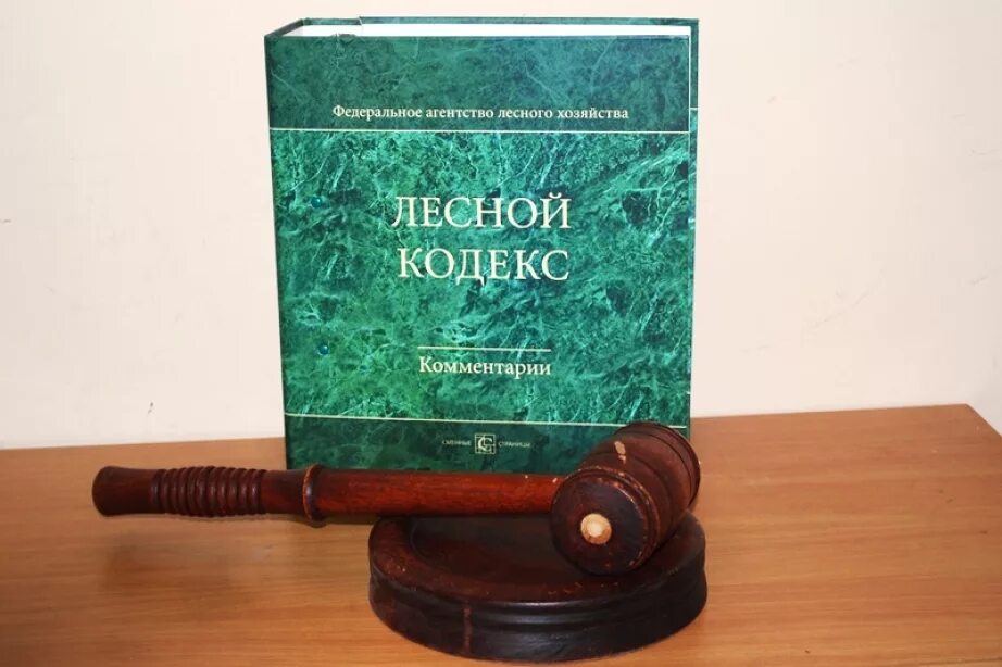 Лесное законодательство рф. Лесной кодекс. Лесное законодательство. Лесной кодекс Российской Федерации. Лесной кодекс книга.