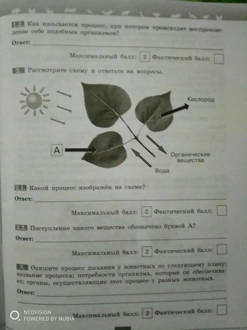 Солнечный день в начале лета впр 6. Биология 6 класс ВПР Пономарева. Задание по ВПР 6 класс по биологии. Растения на ВПР по биологии. Проверочная по биологии 6 класс.