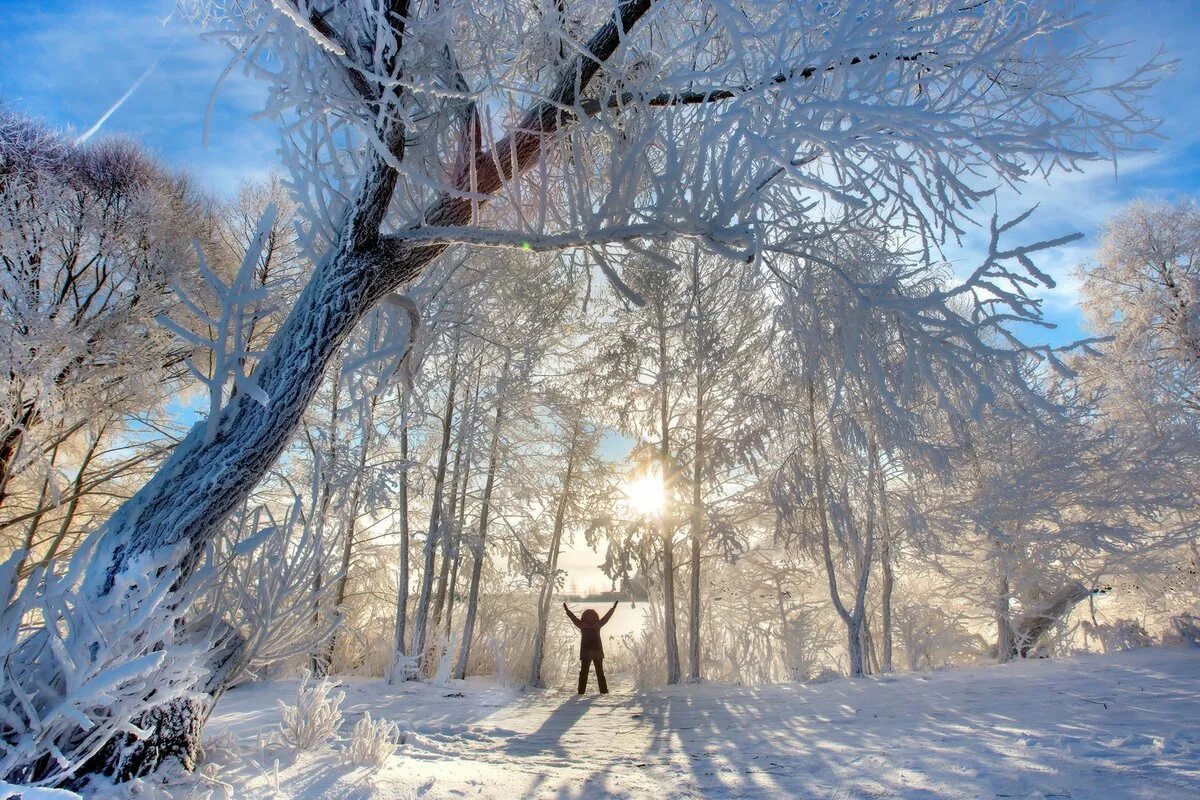 Вся природа чувствует приближение зимы. Настоящая зима. радость зимой. зима приближается. приближение зимы.