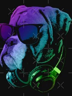 Dj dog