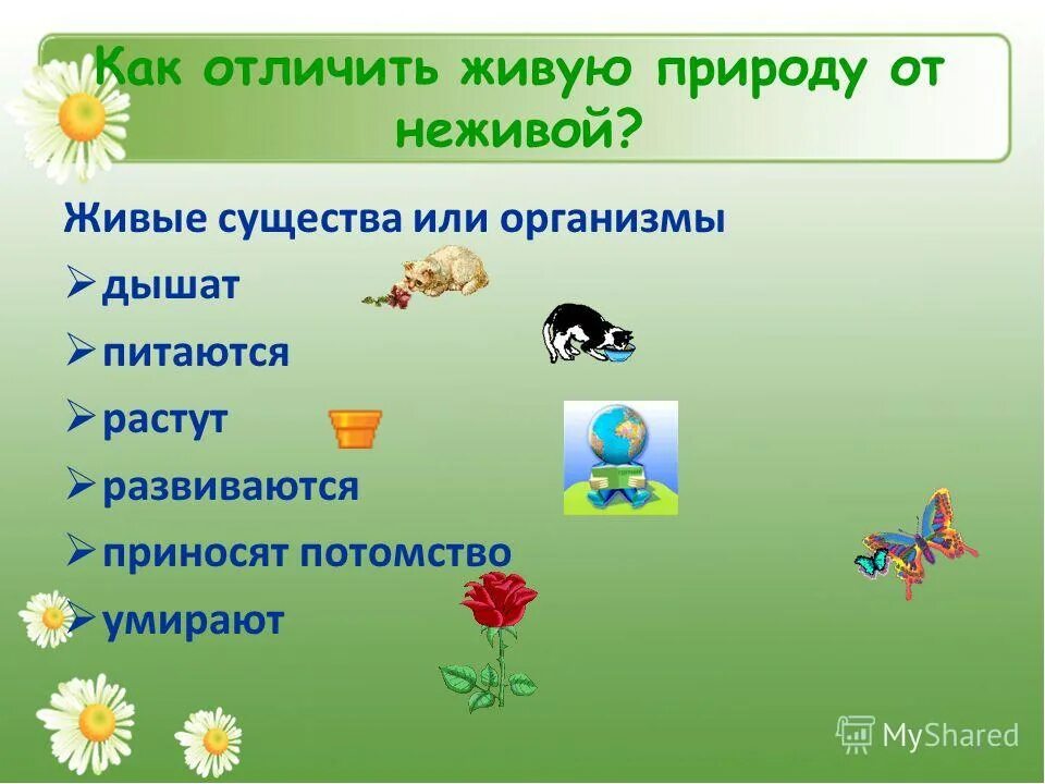 Окружающий мир и отличить. Отличия живой и неживой природы 2 класс окружающий мир. Живые и неживые существа в природе. Тема Живая и неживая природа. Признаки живой природы.