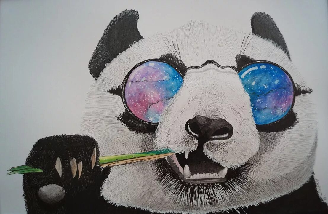 Крутая Панда. Панда рисунок. Дканда в осках.