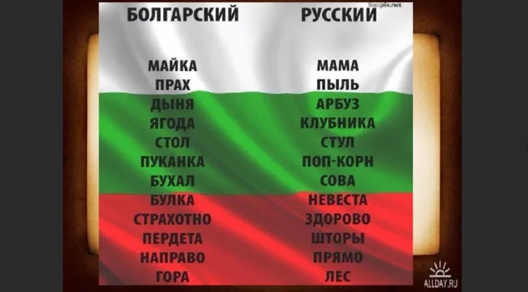 Язык похожий на украинский. Смешные болгарские слова. Болгарский язык. Болгарский и русский языки. Болгарский язык смешные слова.