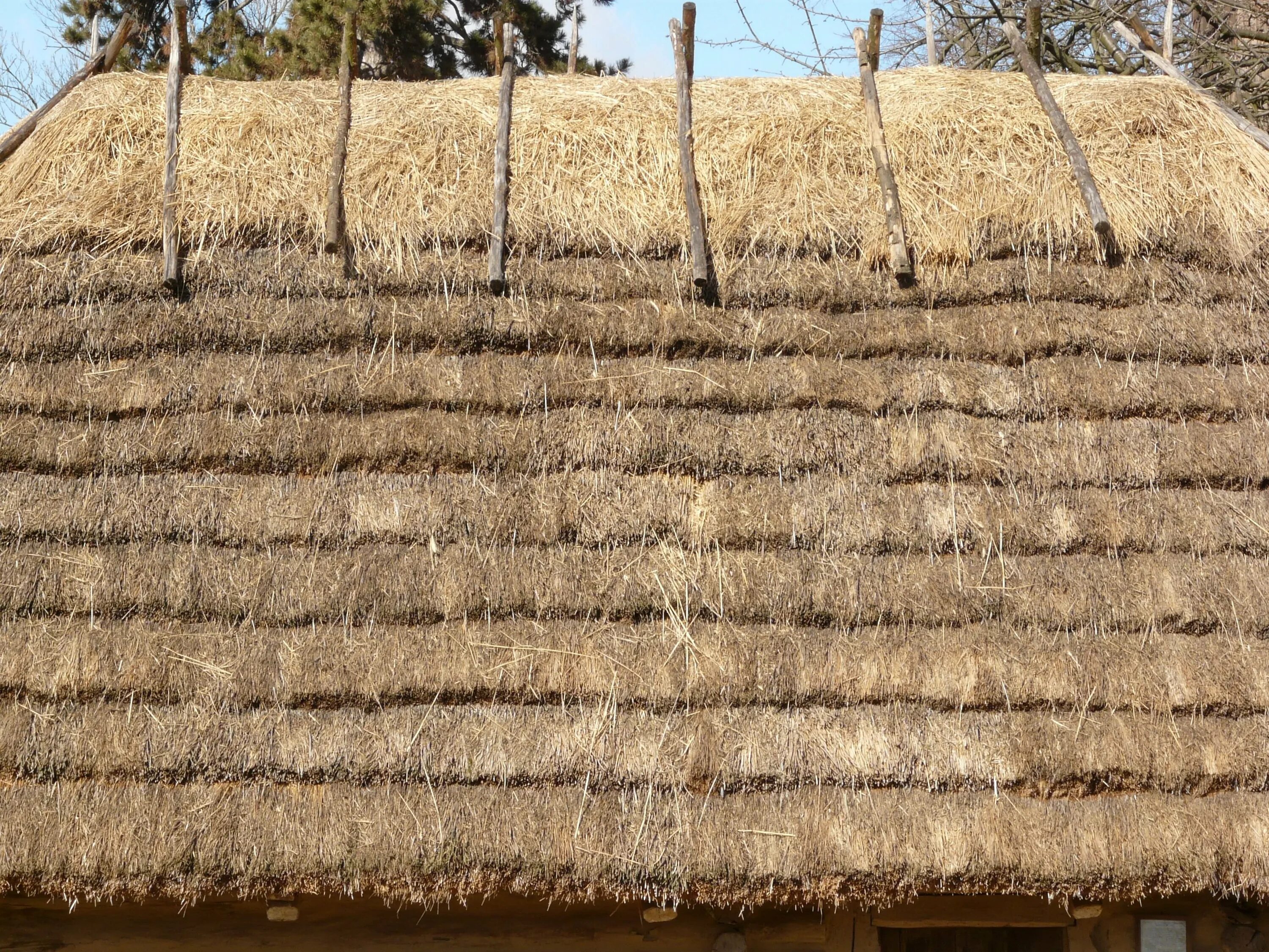Straw page