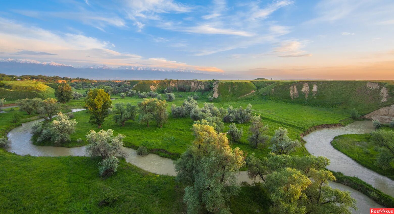 лощина ложбина овраг 3. балка овраг. мрачный пейзаж. грибковский овраг. овраг степная балка курск.
