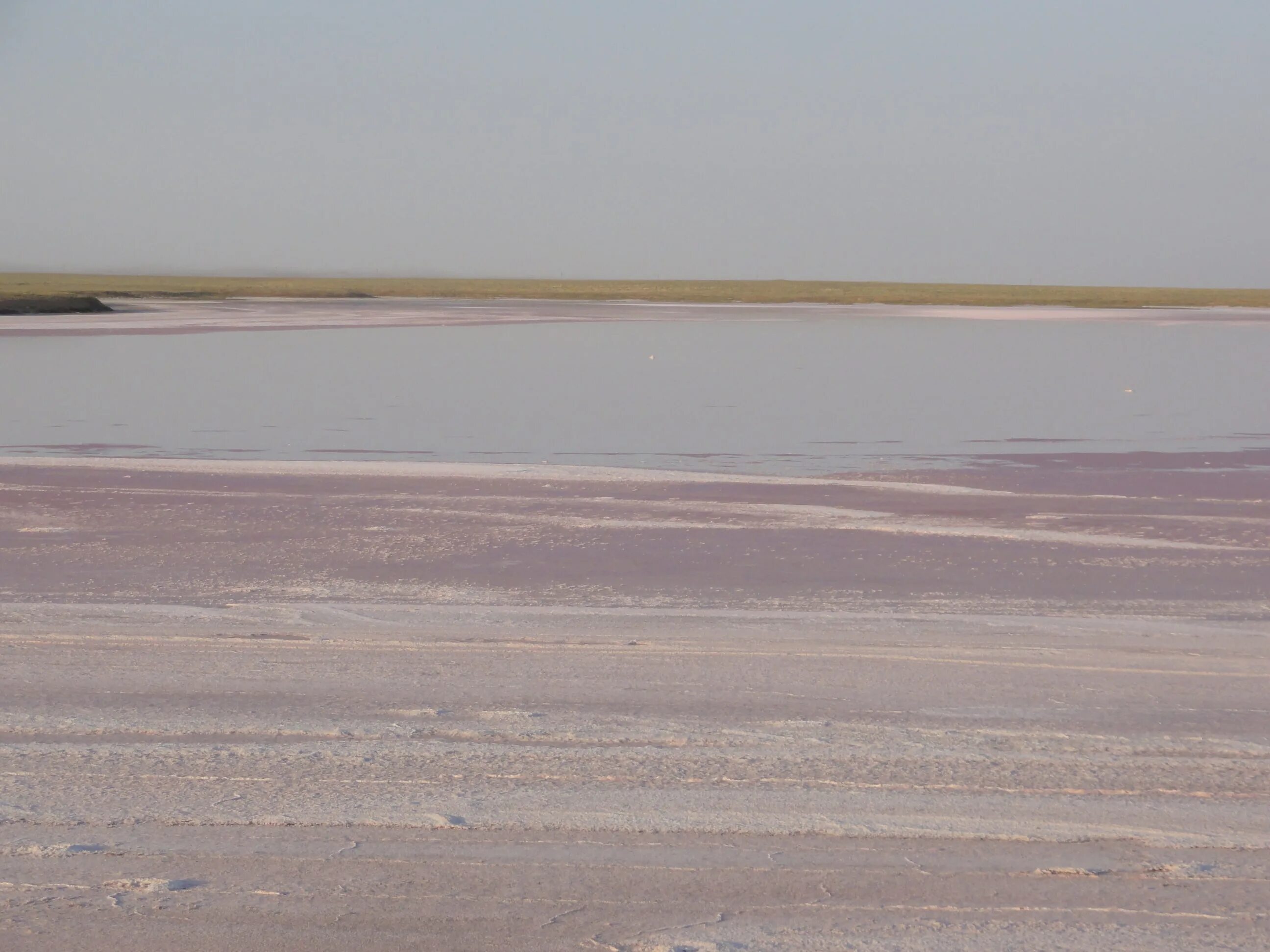 озеро в калмыкии. озеро масазыр азербайджан. элиста соленое озеро. красное озеро в калмыкии. озеро в калмыкии.