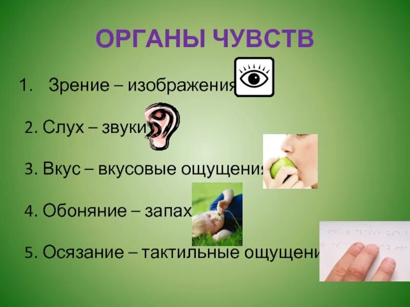 Ощущения 4