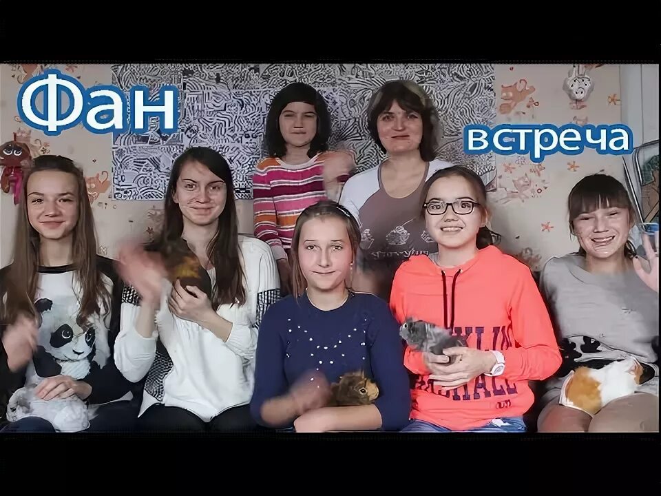 Видео фан встреча. Видео фан встреча