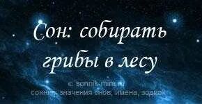 Сонник собирать волосы. Сонник собирать волосы
