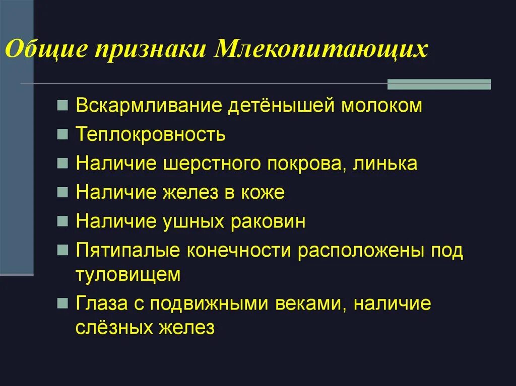 Признаки относящие человека к классу млекопитающих. Признаки млекопитающих. Общие признаки млекопитающих. Признаки класса млекопитающих. Общие признаки млекопи.