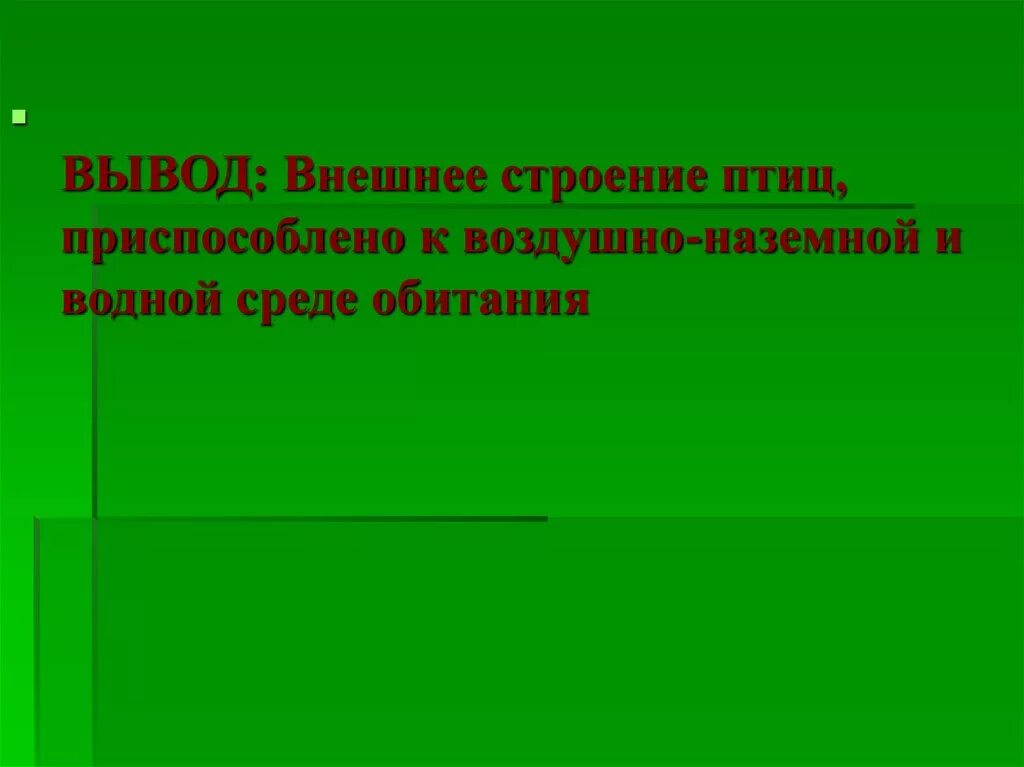 Вывод о внешнем строении птиц. Вывод внешнее строение птиц вывод. Вывод о строении птиц. Вывод об особенностях внешнего строения птиц.