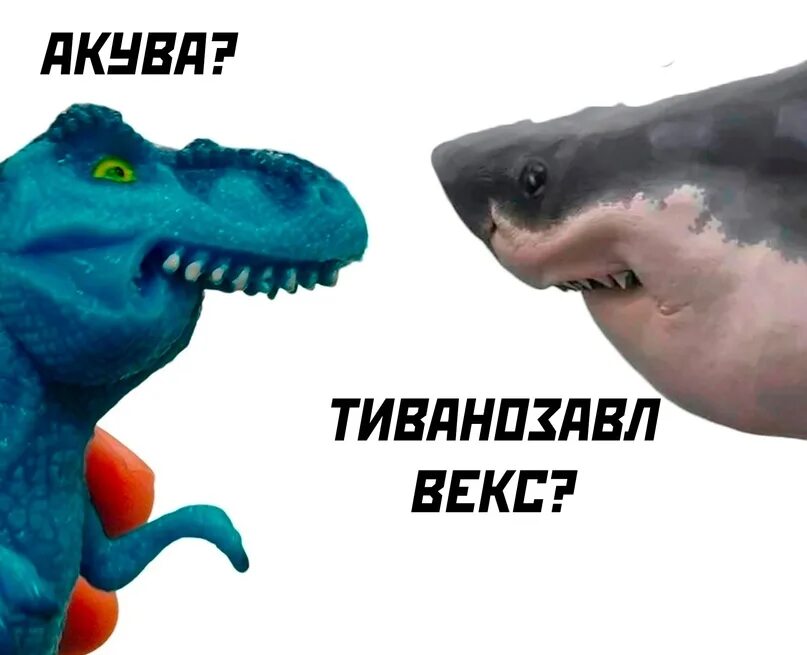 Акува. Акула мем. Акула-молот (sphyrna mokarran. Whale shark 3d stl. Акува булофная.