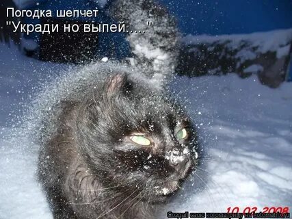 Опять холода