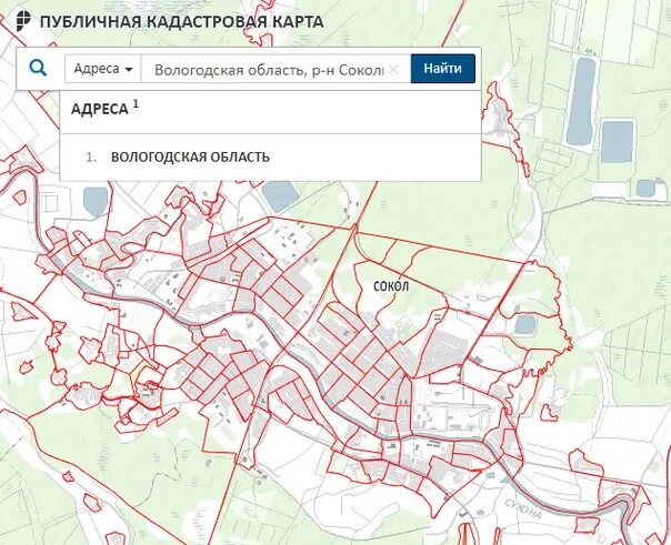 Показать участки на карте. Публичная кадастровая карта 2022. Публичная кадастровая карта Владимира 2022 года. Публичная кадастровая карта Тюмени 2022. ЕГРП 365 публичная кадастровая карта.