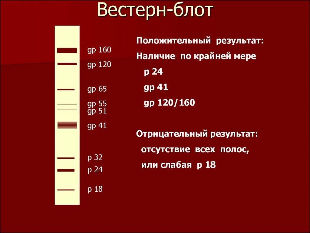 . Иммуноблот для диагностики ВИЧ-инфекции.. Вестерн-блоттинг иммуноблот. Этапов реакции иммуноблоттинга. Диагностика ВИЧ методом иммуноблоттинга.