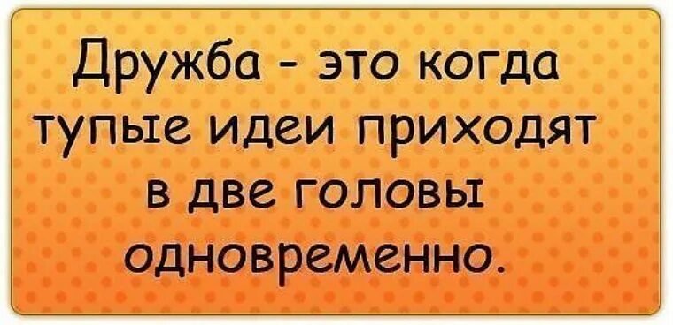 Глупый узнавать. Цитаты про друзей смешные. Смешные фразы про дружбу. Смешные цитаты. Цитаты про дружбу смешные.