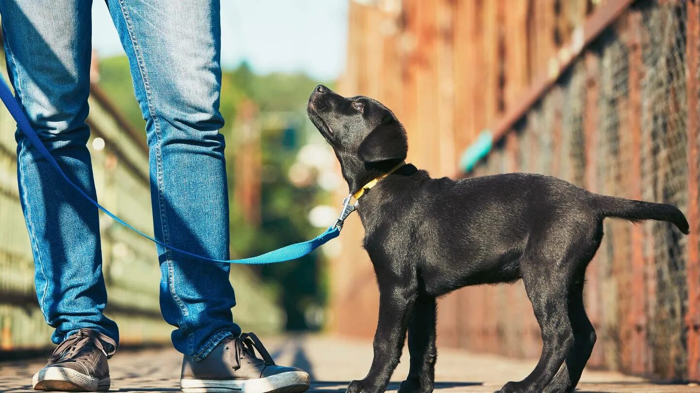 How was your walk