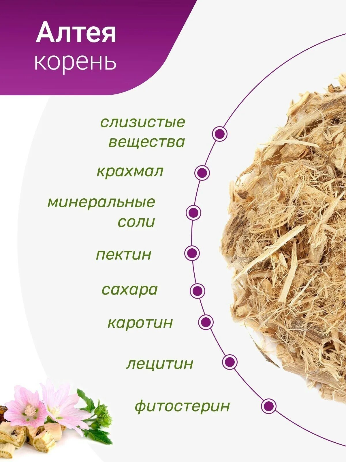 Корень Алтея. Корни Алтея сырье. Корневища Алтея. Корни Алтея лекарственного. Корень алтея отзывы