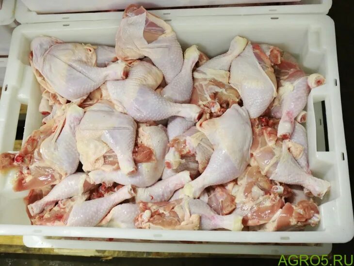 Курица оптом от производителя. Мясо птицы. Тушка куриная. Производители мяса и птицы. Производители куриного мяса.