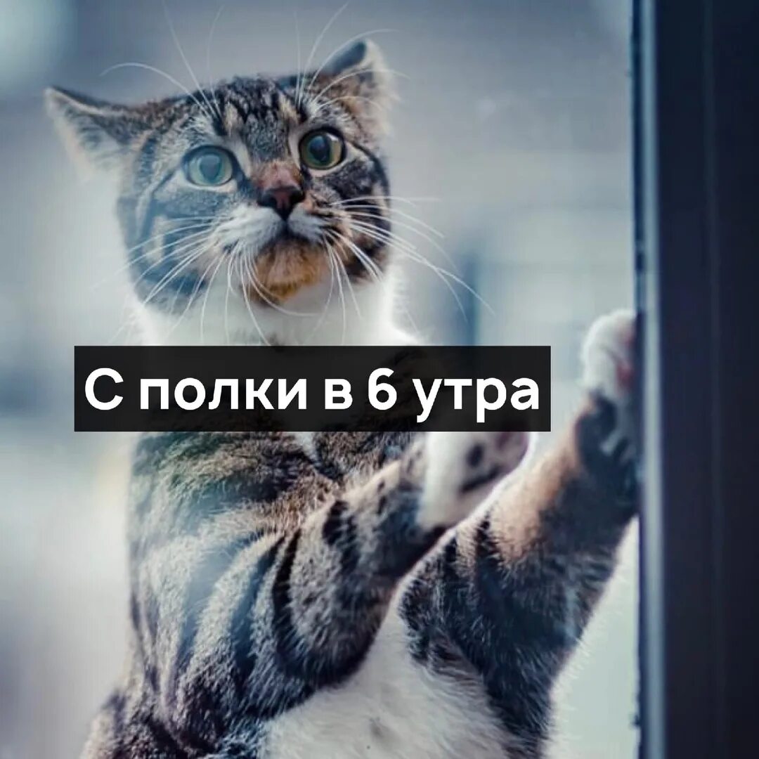 8 утра закончится. Нервы сдают. Нервы сдают приколы. Когда сдают нервы. Нервы сдают картинки.