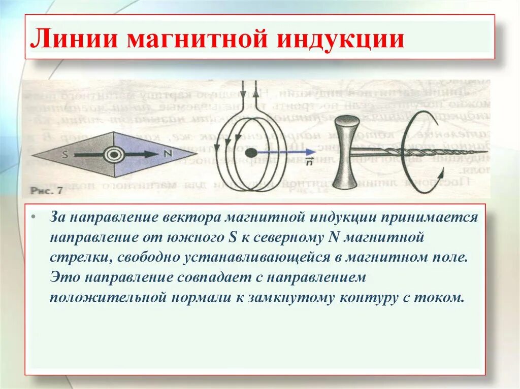 Виды линий магнитной индукции. Линии магнитной индукции обозначение. Направление магнитных линий совпадает с. Основная особенность линий магнитной индукции. Положительное направление магнитных линий.