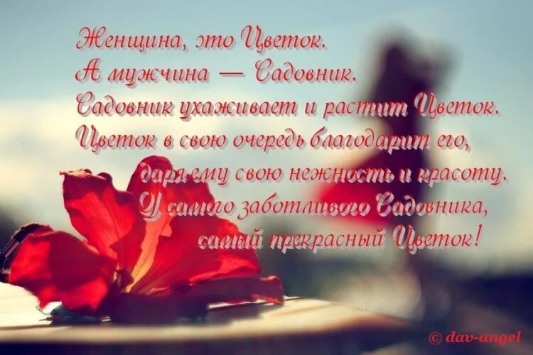 Красивые слова о женщине в прозе короткие