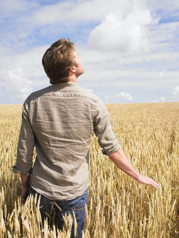Группа людей в поле. Человек в поле. Пшеничное поле человек. Мужик в поле. Мужчина в поле со спины.