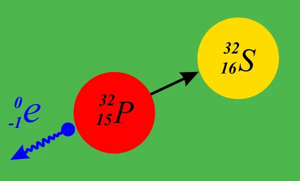 Йод распад. Фосфор 32. Радиоактивный фосфор. Фосфор радиоактивность. Радиоактивность фосфора 32.