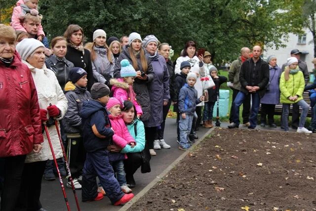 кросс нации кириши. погода кириши. кириши последние новости. кириши дети. кириши развлечения.