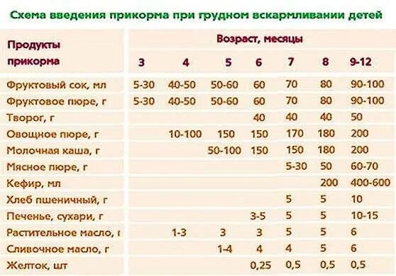 Со скольки можно куриную печень ребенку