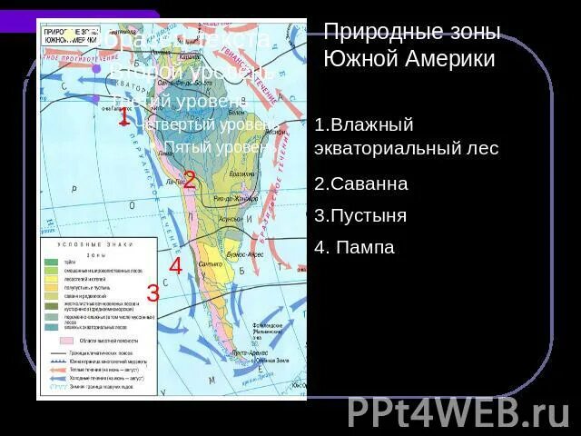 Выберите природные зоны южной америки. Зоны Южной Америки таблица. Карта природных зон Южной Америки 7 класс. Природные зоны Южной Америки 7 класс. Природные зоны Южной Америки презентация.