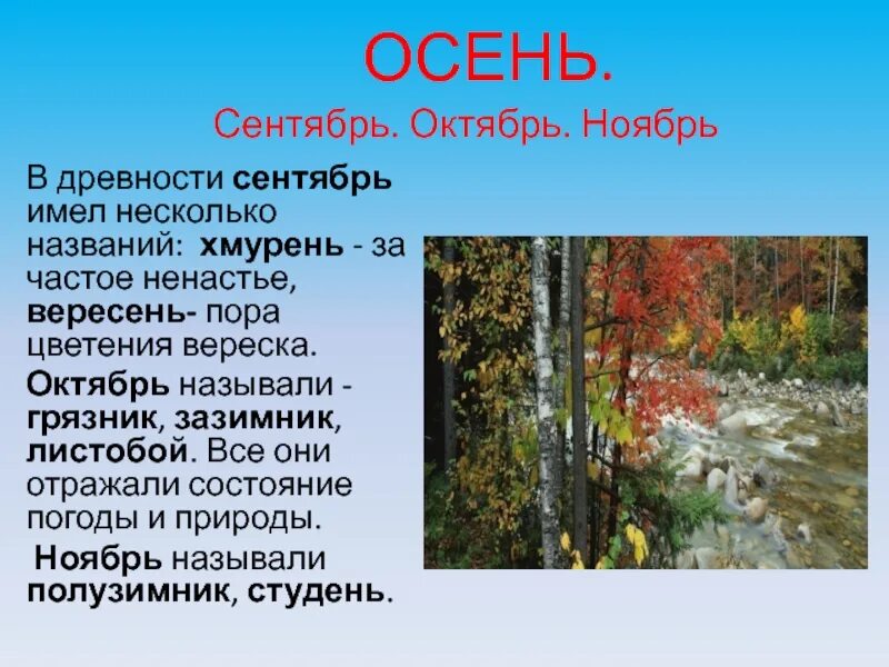 Какие новые законы. Какие изменения будут в ноябре. Что происходит в живой природе в ноябре. Сезонные изменения в природе осенью. Стихи про ноябрь.