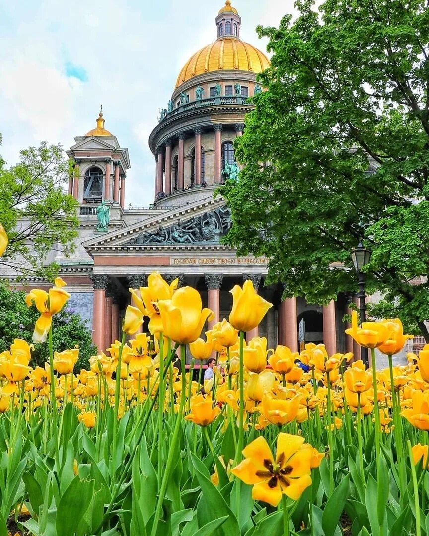 Фото санкт петербурга летом. Исаакиевская площадь в Санкт-Петербурге сад. Петербург лето.