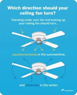Which Way Should A Ceiling Fan Turn in Summer & Winter? Constellation