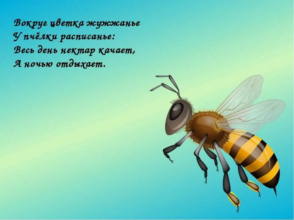 Почему мухи жужжат. Стих про пчелу. Стихотворение про пчелку. Стишки про пчелку для малышей. Стихи про пчелку для детей короткие.