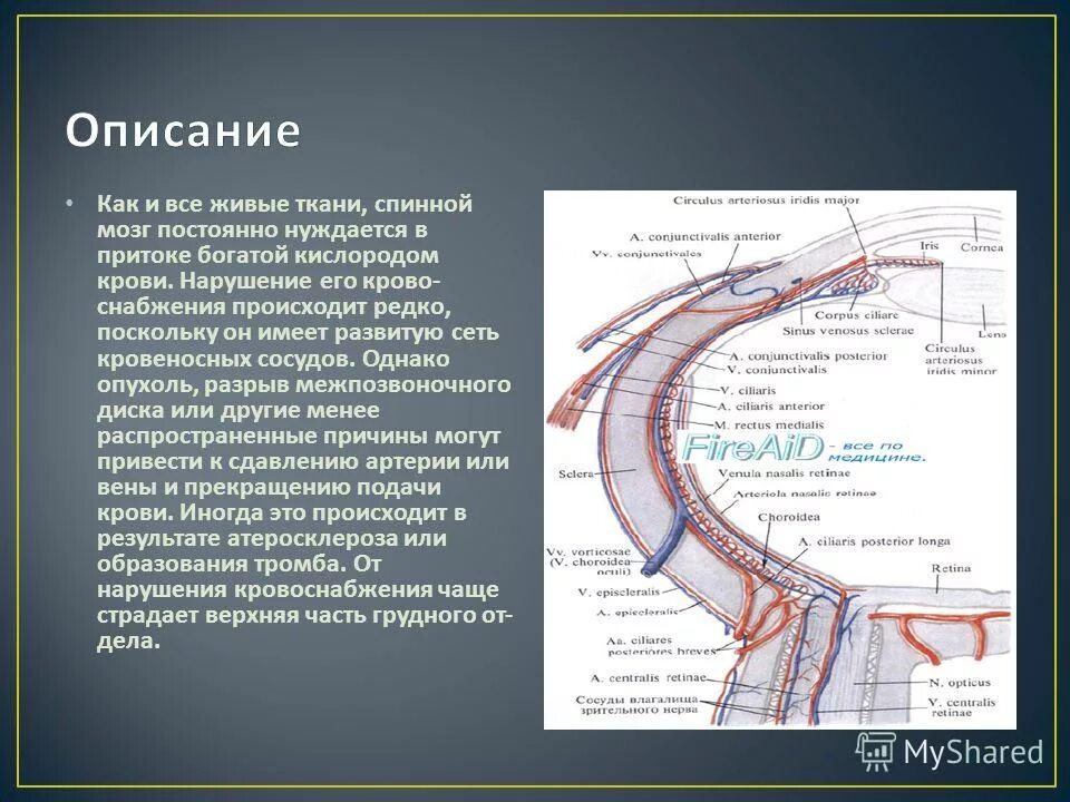 Цитаты про сильных женщин. Что бы ни случилось, нужно помнить — это всего лишь жизнь, и мы. Фразы про стеснение. Если я знаю что знаю мало я добьюсь того чтобы знать больше. Цитаты про стеснительность.