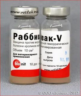 Вакцина вгбк инструкция по применению