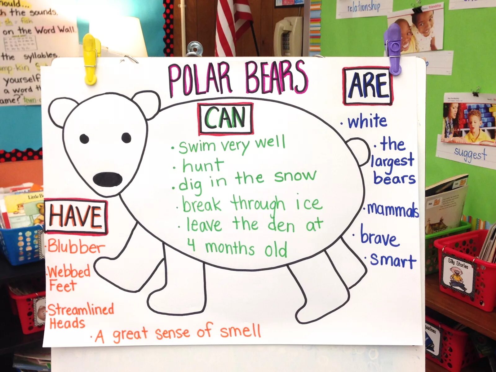 Polar Bear information for Kids. Bear information. He swims very well