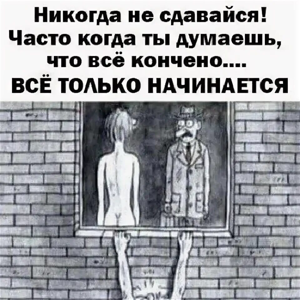 Это никогда не кончится. Никогда не сдавайся часто когда ты думаешь. Никогда не сдавайся карикатура. Картинка никогда не сдавайся, часто. Когда ты думаешь что все закончилось все только начинается.