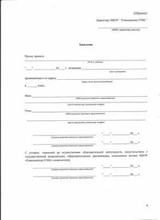 Заявление в 1 класс московская область