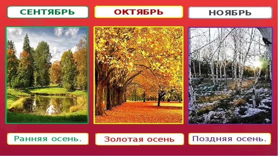 Сентябрь октябрь ноябрь это осенние месяцы. Осенние месяцы. осенние месяцы для дошкольников. три месяца осени. назовите осенние месяца.