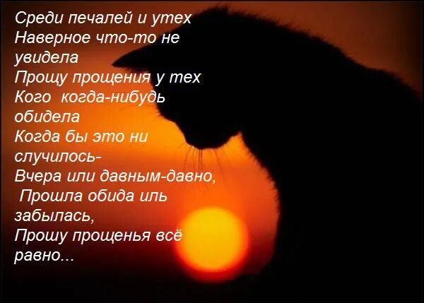 Увидеть просить. Прости если. Среди печали и утех. Я вас когда нибудь обижу. Среди печали и утех наверно что-то не увидела прошу прощения.