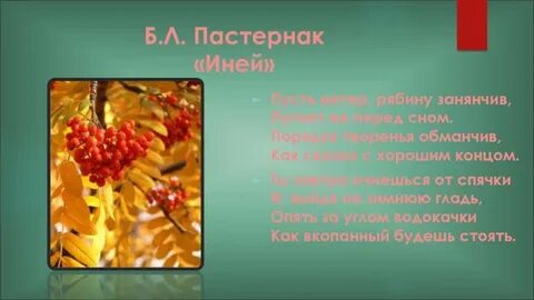Пастернак иней