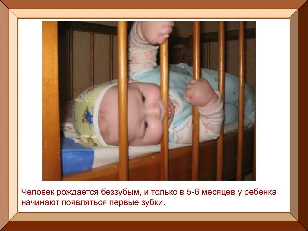 Рождение 6 месячного ребенка. Ребенок родившийся на 6 месяце.